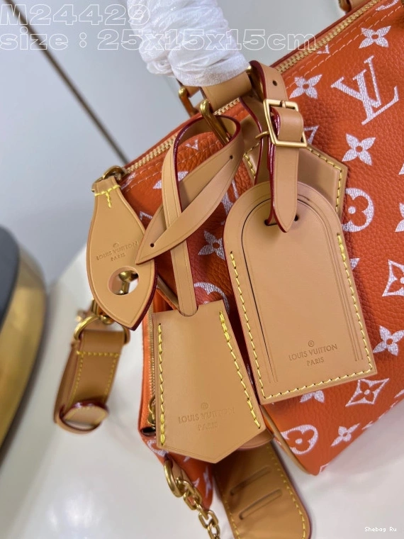 Louis Vuitton SPEEDY 25 0717